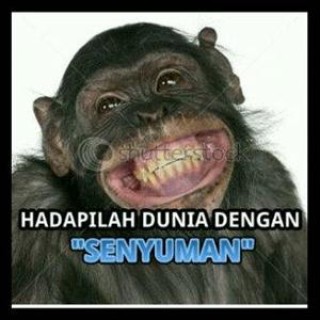 dp bbm senyum (4)