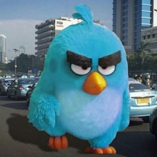 Meme supir taksi demo